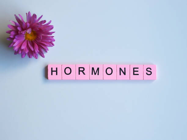 What’s the Difference Between Bio-Identical Hormones and HRT?